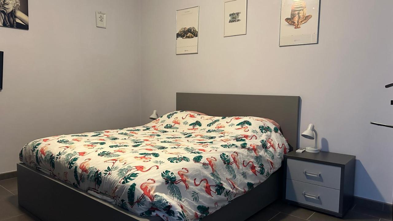 Ruime Studio In Deurne أنتويرب المظهر الخارجي الصورة
